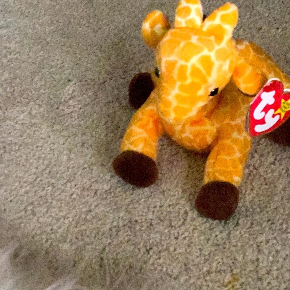 Twix the giraffe